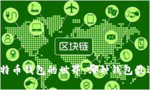 探索比特币钱包的世界：哪种钱包最适合你？