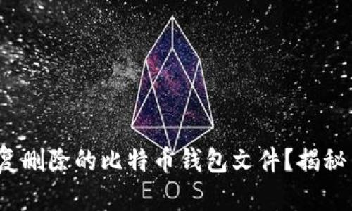 如何使用WinHex恢复删除的比特币钱包文件？揭秘背后的数据恢复技巧