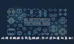 比特币地址与钱包地址：