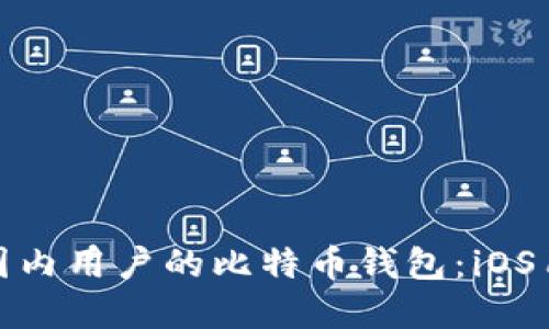 如何选择适合国内用户的比特币钱包：iOS用户的最佳选择