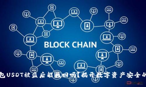 冷钱包USDT被盗后能找回吗？揭开数字资产安全的真相