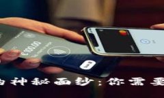 揭开Web3的神秘面纱：你需