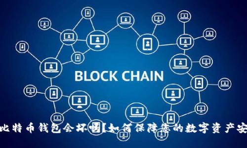 : 比特币钱包会坏吗？如何保障您的数字资产安全