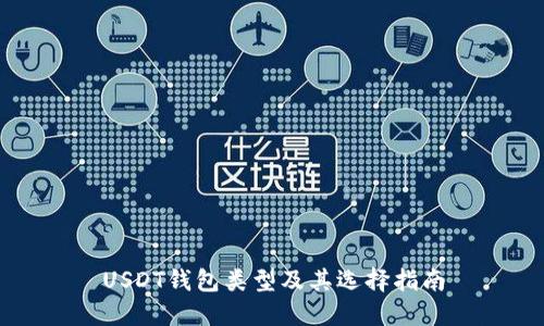 USDT钱包类型及其选择指南