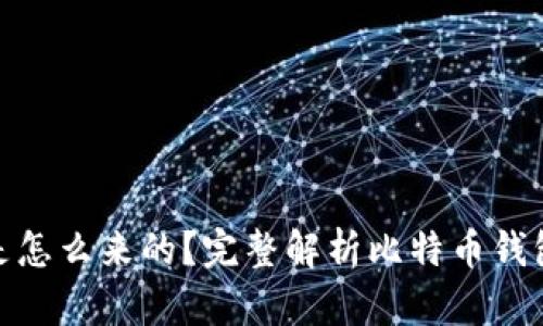: 比特币钱包是怎么来的？完整解析比特币钱包的起源与发展