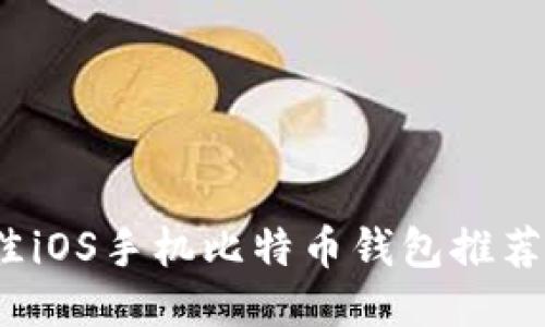 2023年最佳iOS手机比特币钱包推荐及使用指南