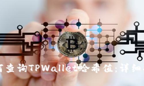 如何查询TPWallet哈希值：详细指南