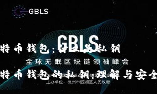 比特币钱包：什么是私钥

比特币钱包的私钥：理解与安全性