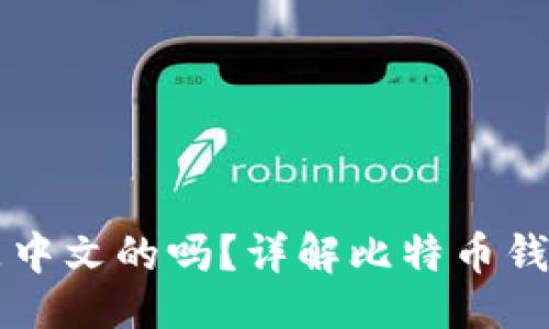 与关键词

比特币钱包到底是中文的吗？详解比特币钱包语言选择与使用