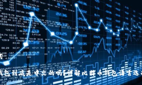 与关键词

比特币钱包到底是中文的吗？详解比特币钱包语言选择与使用